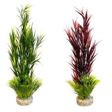 Planta Wild Mountain [39Cm]
